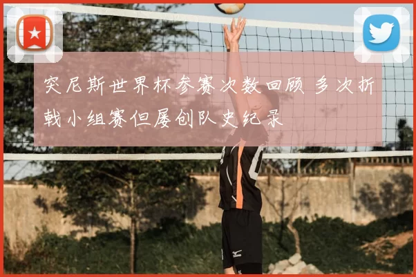 突尼斯世界杯参赛次数回顾 多次折戟小组赛但屡创队史纪录