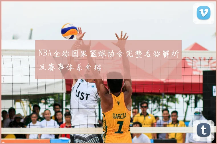 NBA全称国家篮球协会完整名称解析及赛事体系介绍
